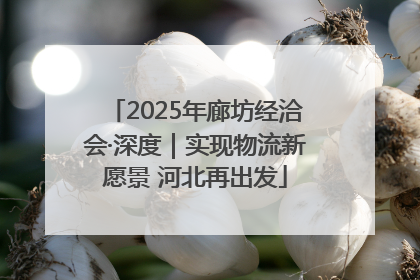 2025年廊坊经洽会·深度｜实现物流新愿景 河北再出发